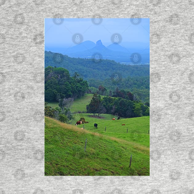 Misty Day over Mount Coonowrin by pops